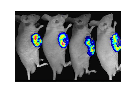 cancer biomarkers guide