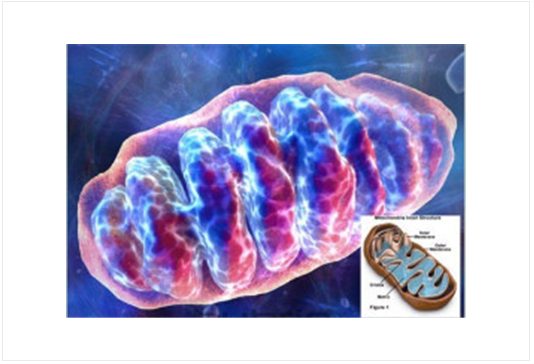 cancer biomarkers guide