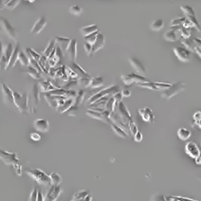 cancer biomarkers guide